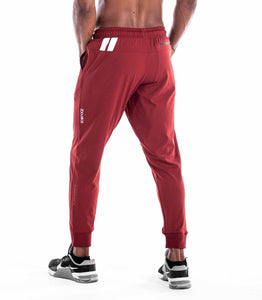 IconX 2 Joggers